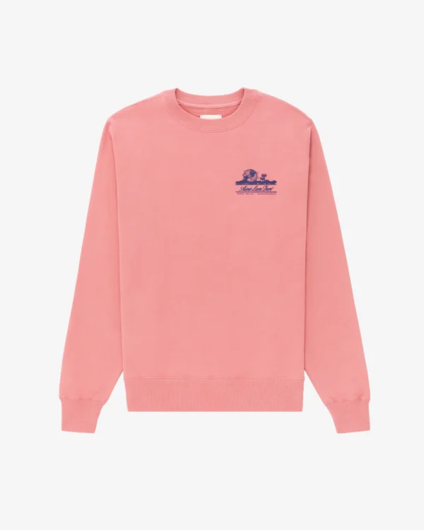 Unisphere Crewneck Pink Sweatshirt